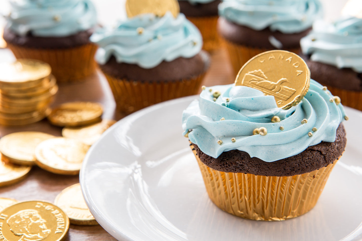 Hanukkah Cake and Cupcakes